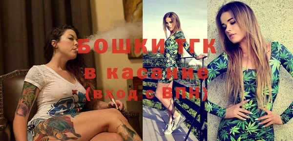 сатива Чегем