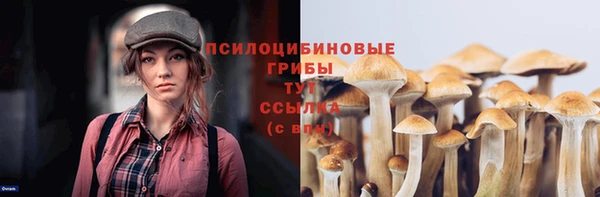 спайс Липки